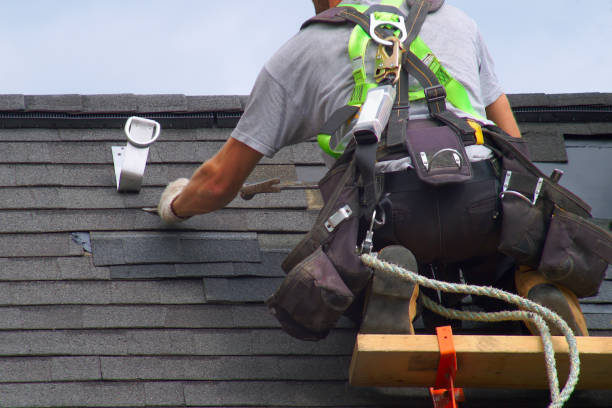 Best Roof Ventilation Installation  in Peach Springs, AZ