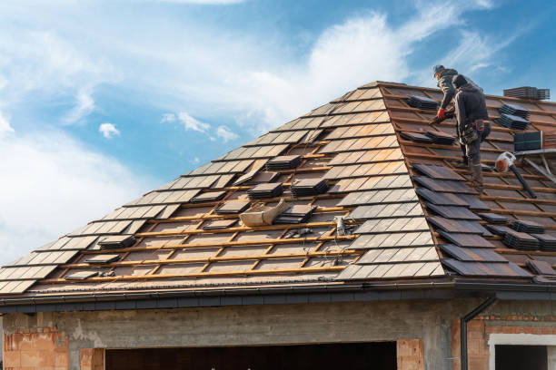 Best Sheet Metal Roofing  in Peach Springs, AZ